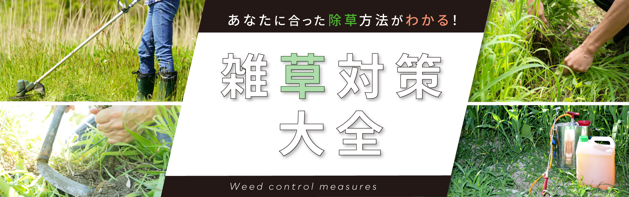 あなたに合った除草方法がわかる! 雑草対策大全
