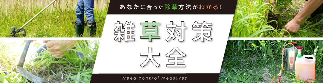 あなたに合った除草方法がわかる！　雑草対策大全