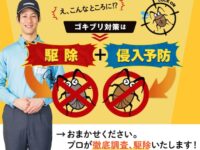 ダスキン害虫・ゴキブリ駆除の口コミ・評判を徹底調査！　効果なしって本当？