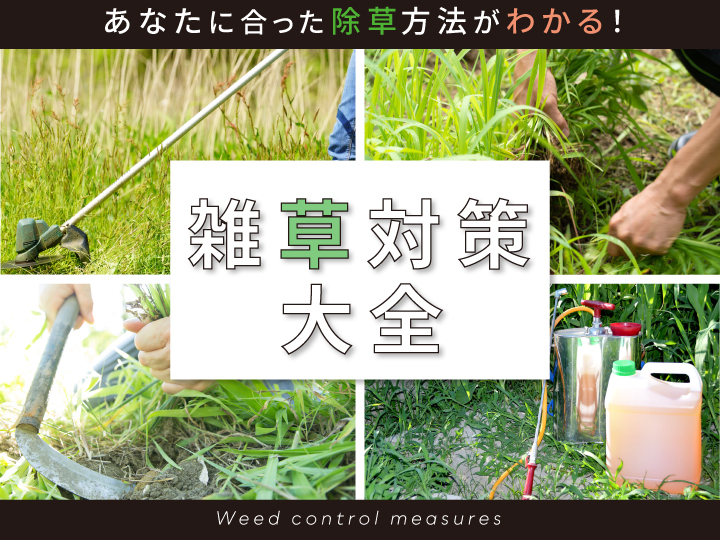 あなたに合った除草方法がわかる！　雑草対策大全