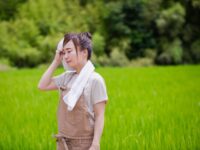 【農林水産省に聞く】農業分野における気候変動の影響の実態と、これからの付き合い方