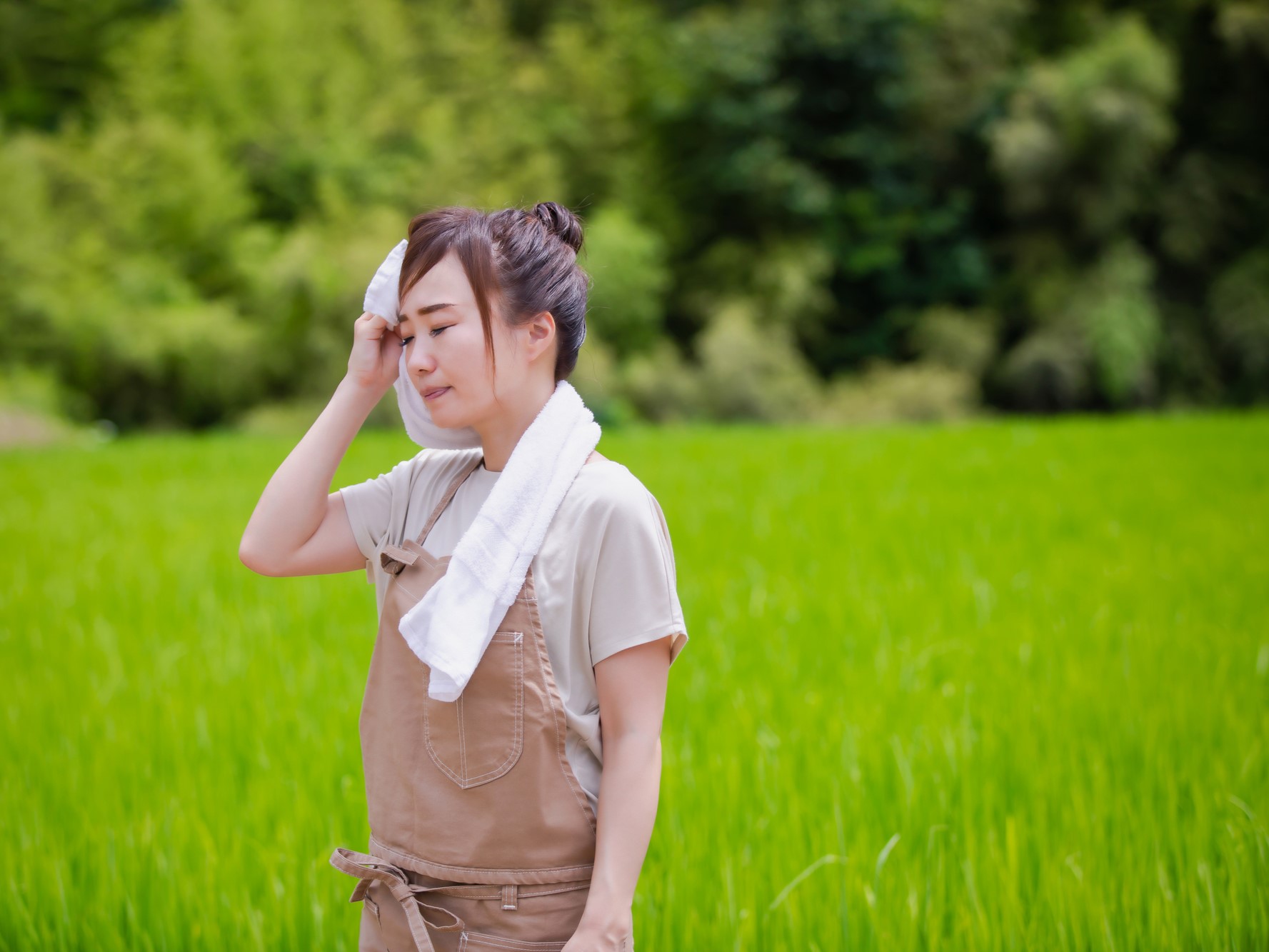 【農林水産省に聞く】農業分野における気候変動の影響の実態と、これからの付き合い方