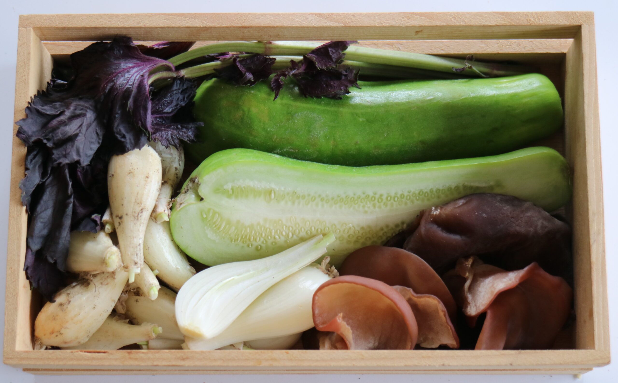 6月が盛りの野菜