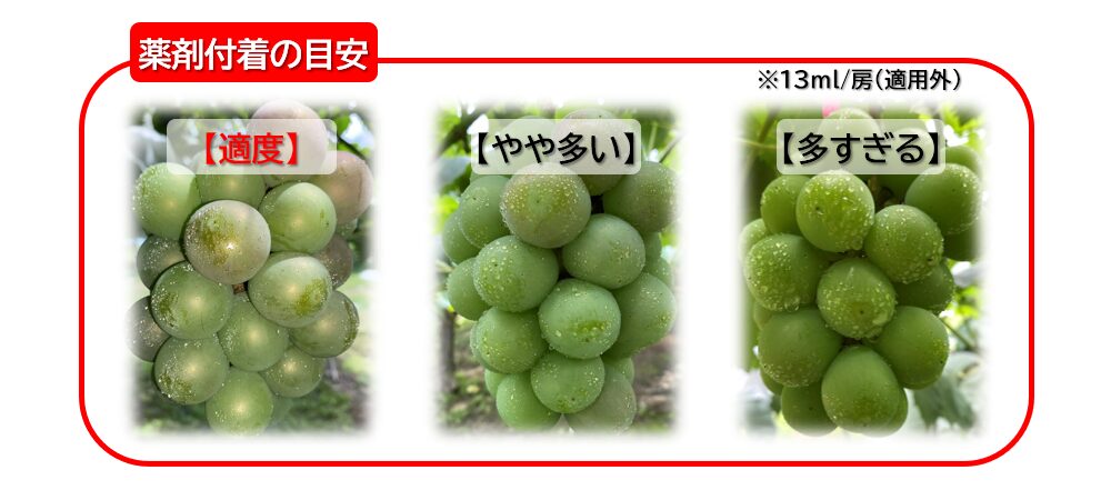 アブサップの薬剤量の目安