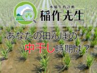 中干しはいつにしよう？ スマホアプリ「稲作先生」にお任せ！