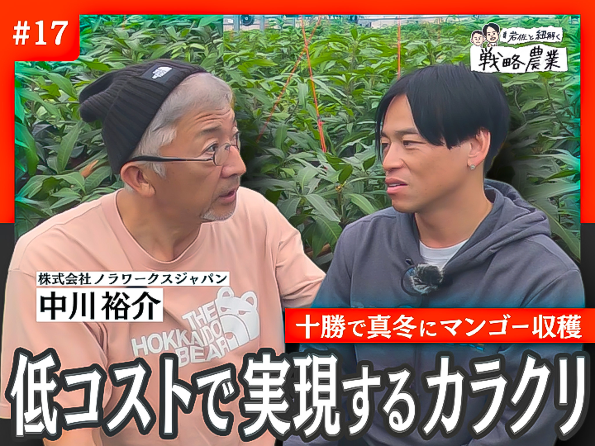 十勝生まれの1玉3万円のマンゴー　低コストで実現するカラクリに迫る！【岩佐と紐解く戦略農業#17】