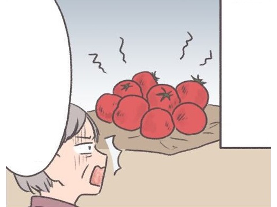 【マンガ】かけだし農家の奮闘記《第50話》直売で注意すべきこと
