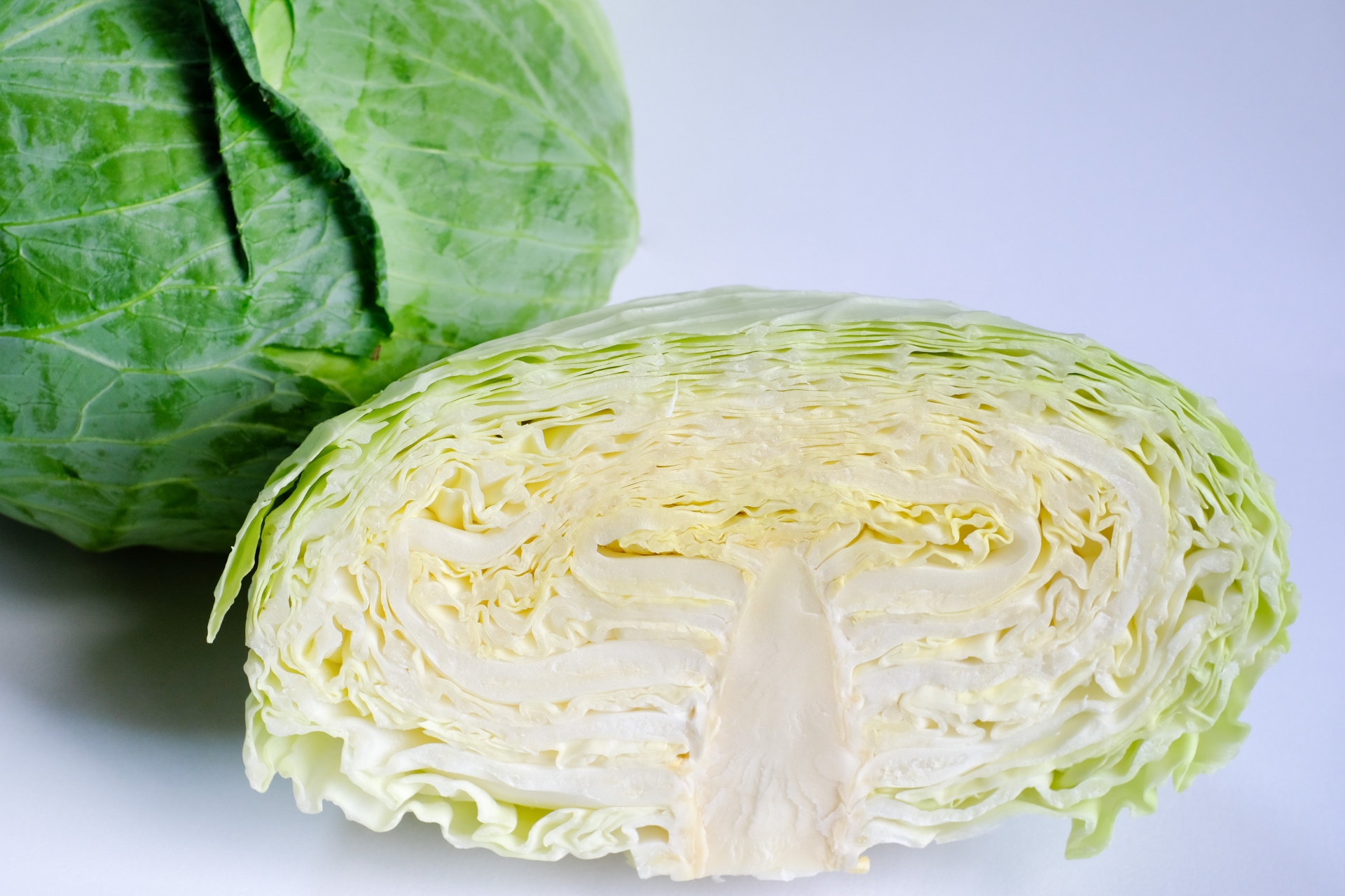 冬キャベツ