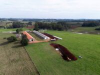 ブラジル産鶏肉、輸入停止相次ぐ 鳥インフル、日本にも影響