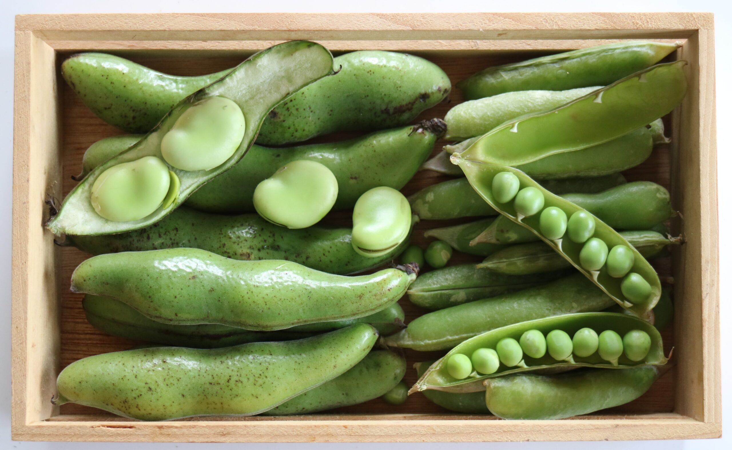6月が名残の野菜