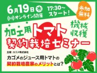 【6/19開催・参加無料】安定した農業経営を目指す。カゴメの加工用トマト機械収穫契約栽培セミナーをオンラインで開催