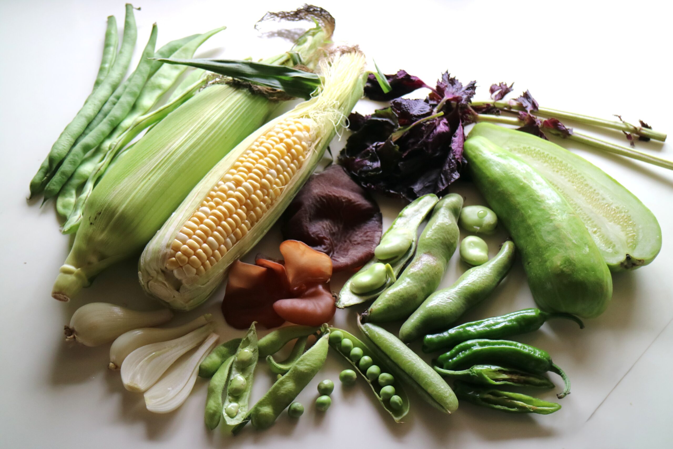 中身が見える6月が旬の野菜