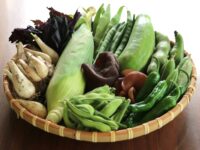 6月が旬の野菜は？ 「走り」「盛り」「名残」で、季節の変わり目ならではの食体験