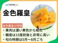 金色羅皇（こんじきらおう）はどんなスイカ？旬の時期や栽培する方法も解説