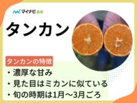 タンカンとはどんな果物？旬の時期や選び方、栽培する方法も解説