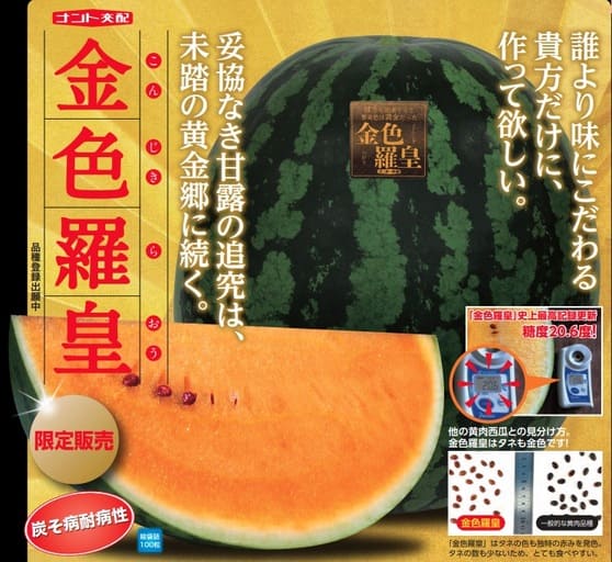 ナント種苗 金色羅皇パンフレット画像