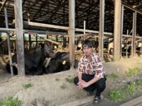 おいしい牛乳は、高品質な飼料から　耕畜連携が支える酪農の6次化