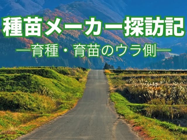 種苗メーカー探訪記─育種・育苗のウラ側─