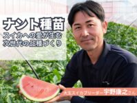 スイカ愛が生み出す次世代の品種【ナント種苗】大玉スイカブリーダーにインタビュー【種苗メーカー探訪記Vol.4】