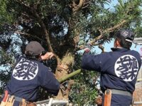 【千葉県匝瑳市】匝瑳市で園芸と野菜を学ぶ実践型農業研修 1回目_WAGO Agri College参加者大募集！