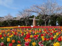 【千葉県匝瑳市】匝瑳市で園芸と野菜を学ぶ実践型農業研修 3回目_WAGO Agri College参加者大募集！