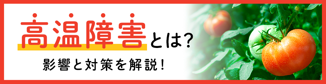高温障害とは？　影響と対策を解説
