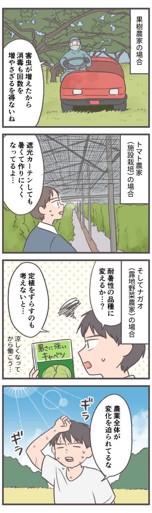 かけだし農家,猛暑2