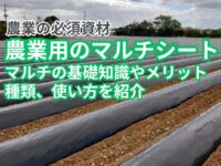 農業用のマルチとは？　基礎知識やメリット、種類、サイズ選びを解説
