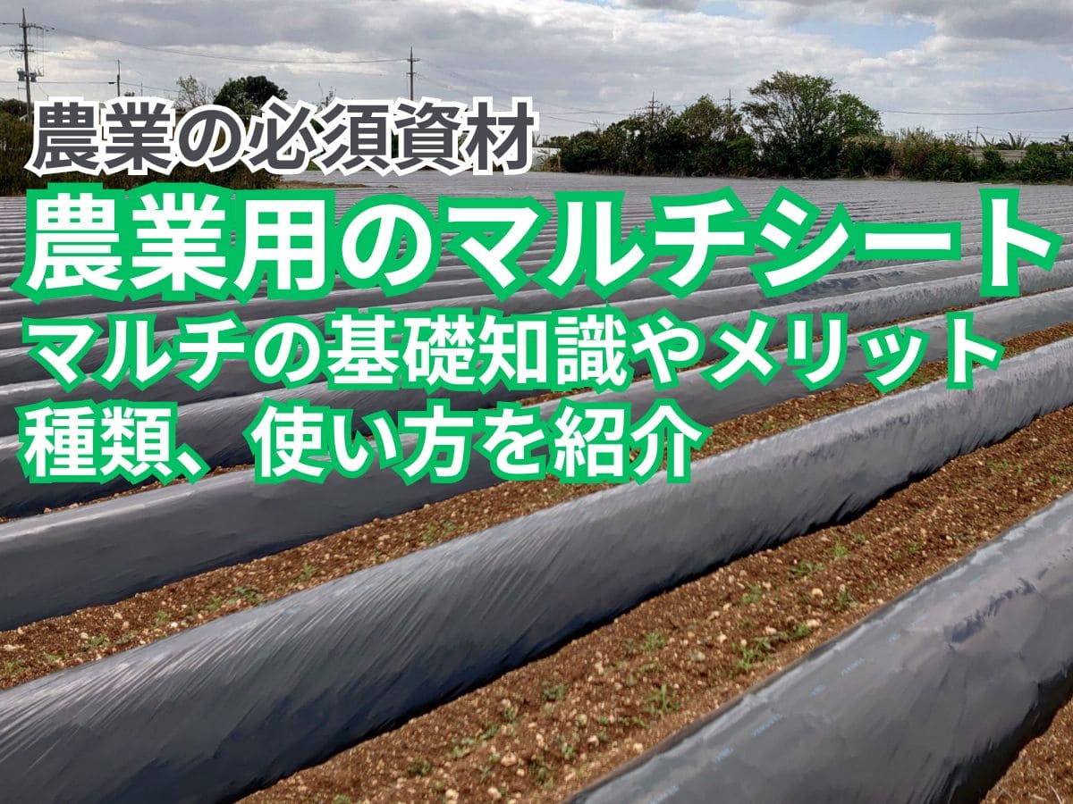 農業用のマルチとは？　基礎知識やメリット、種類、サイズ選びを解説