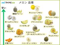 14品種を比較！甘くて糖度が高いメロンのランキング