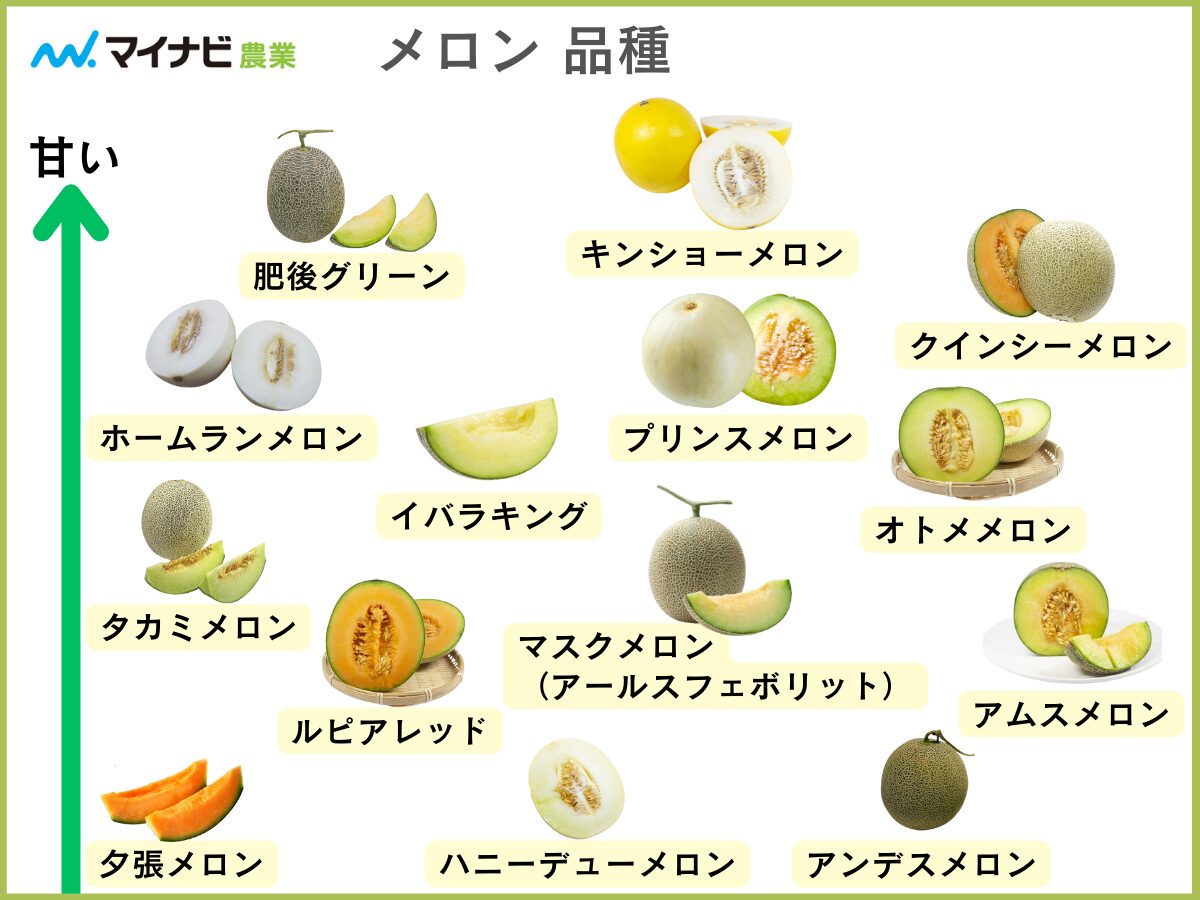 14品種を比較！甘くて糖度が高いメロンのランキング