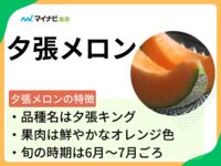 夕張メロンはどんなメロン？　旬の時期や食べ頃の見極め方も解説