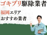 福岡エリア対応のゴキブリ駆除業者おすすめ5選！　選ぶときのポイントは？