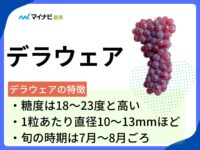 デラウェアはどんなブドウ？　旬の時期や選び方、栽培する方法も解説