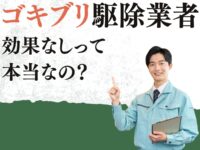 ゴキブリ駆除業者は効果なし？　失敗しないゴキブリ駆除業者の選び方など解説