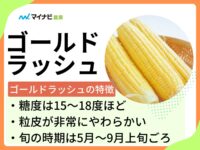 ゴールドラッシュはどんなトウモロコシ？　旬の時期や栽培する方法も解説