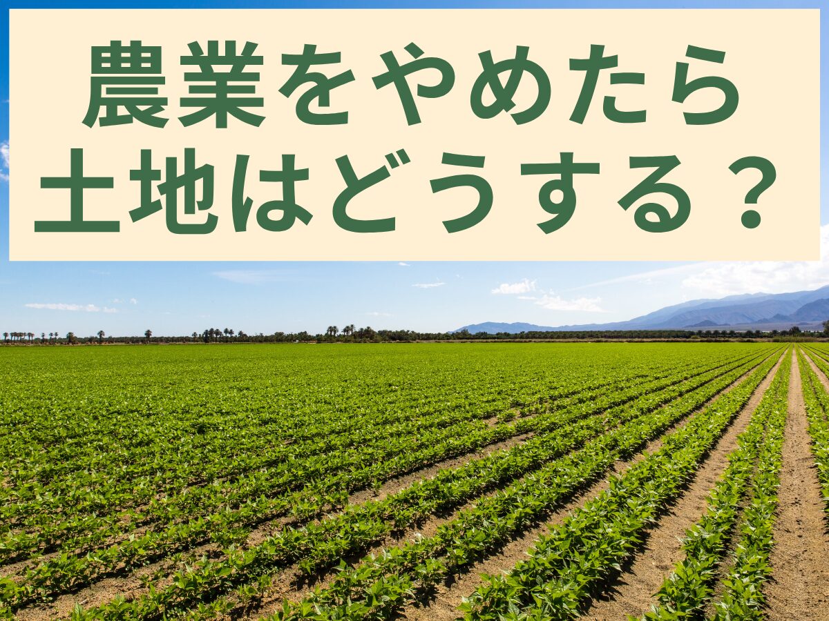 農業をやめたら土地はどうする？農地売却の手続き・高く売る方法を解説