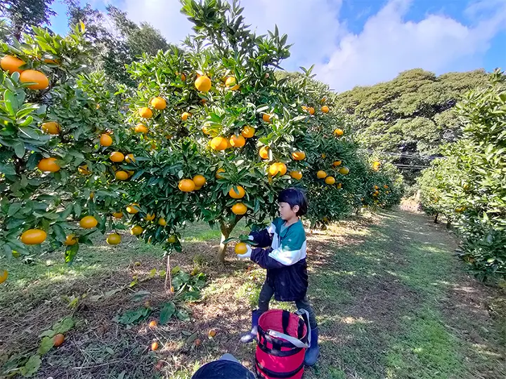 子育てのリアル。田舎に移住して育児をするメリットとデメリット 【田舎暮らしのリアル＃3】