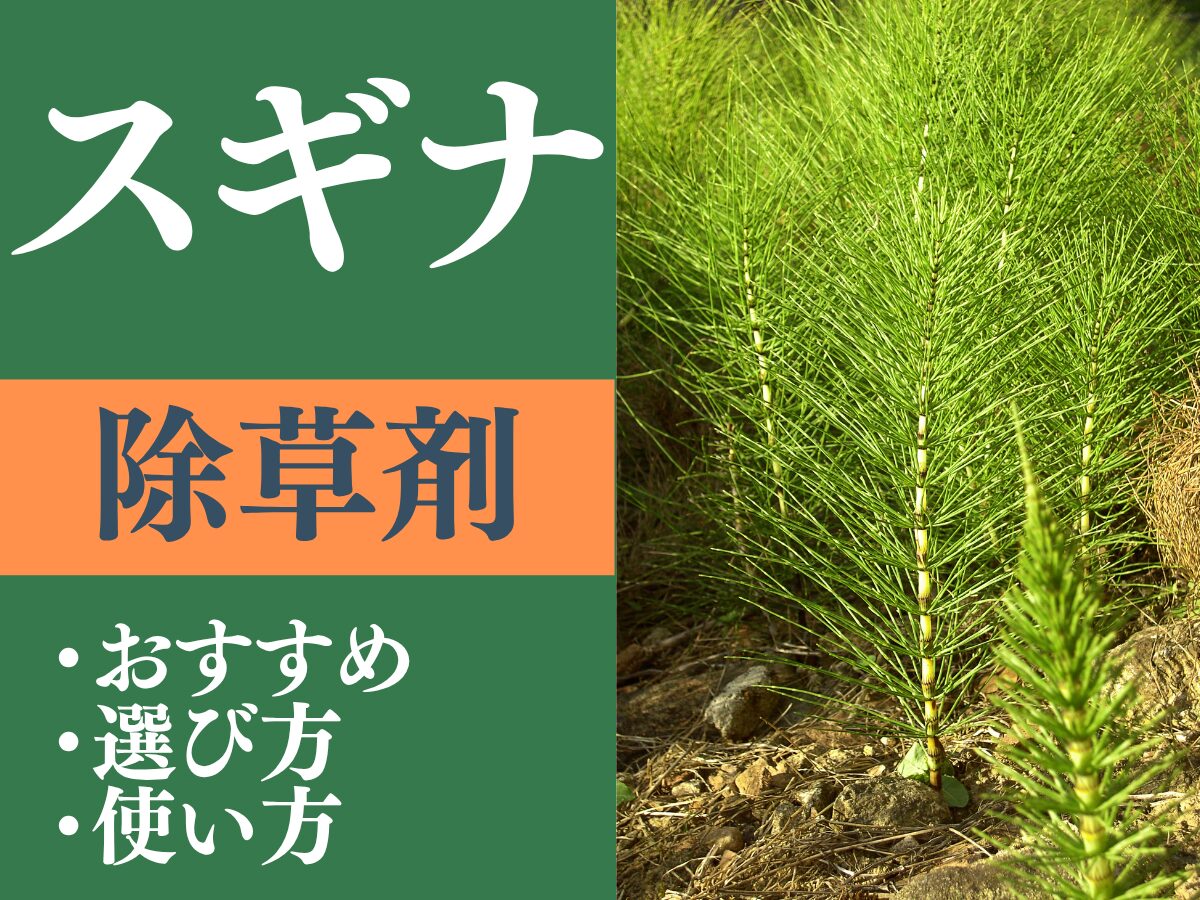 スギナに有効なおすすめ除草剤は？除草剤の選び方や正しい使い方も解説