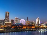 神奈川県の害虫駆除業者おすすめランキング！　業者の選び方や相談窓口を紹介