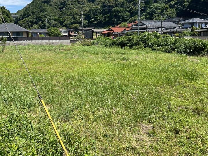 雑草の色が薄く多様性が少ない畑
