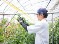 就農後を見据えた実践的なスキルを習得！「とやま農業未来カレッジ」が開設した新たなコースの魅力とは【7月27日オープンキャンパス開催！】