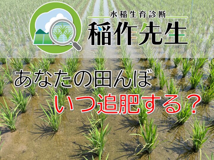 AI診断で栽培管理をサポート！今注目のスマホアプリ「稲作先生」