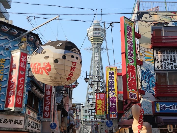 大阪府の害虫駆除業者おすすめランキング！　失敗しない選び方や相談窓口を紹介