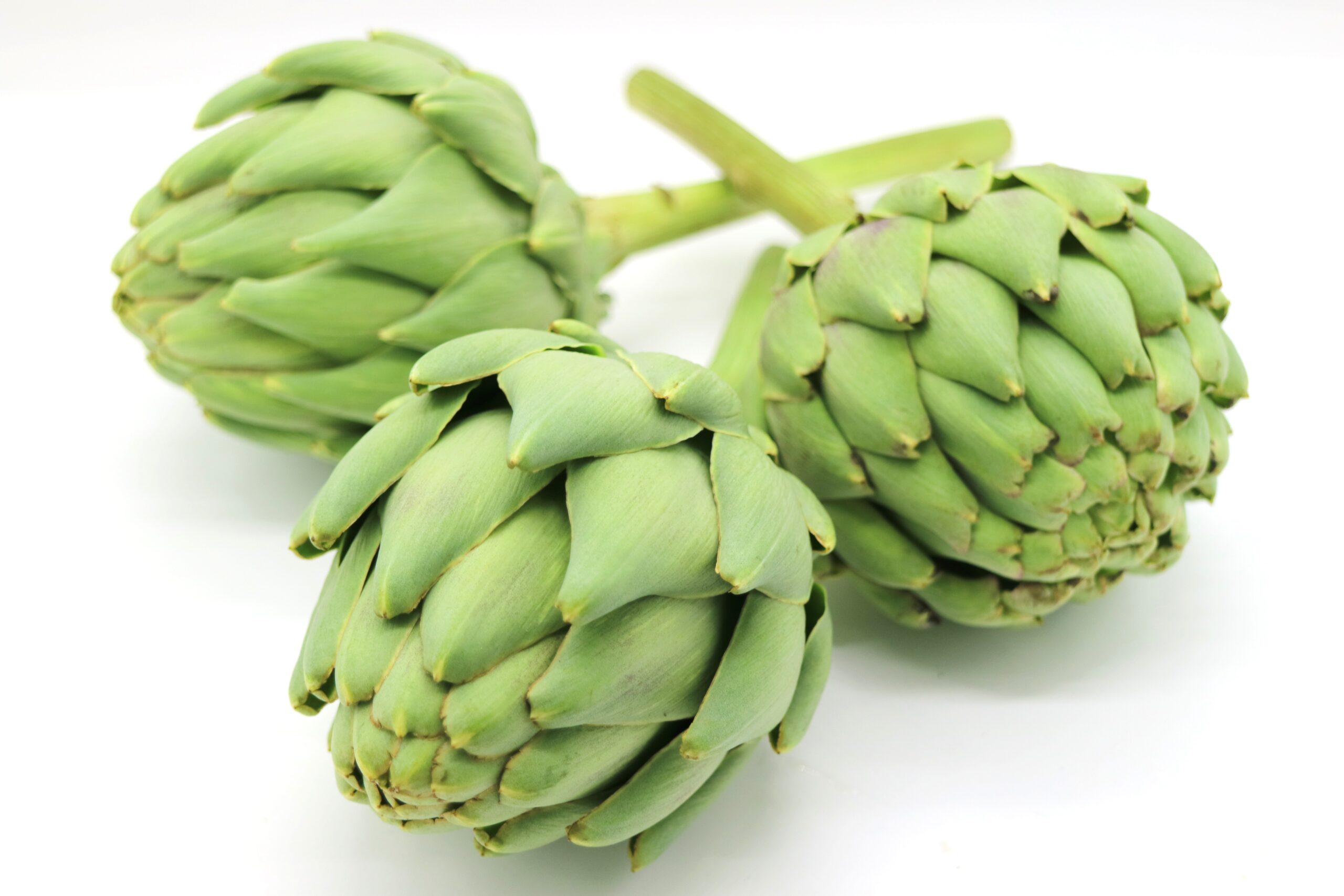アーティチョークはどんな野菜？ 味や栄養、育て方、おいしく食べる下処理とレシピも紹介