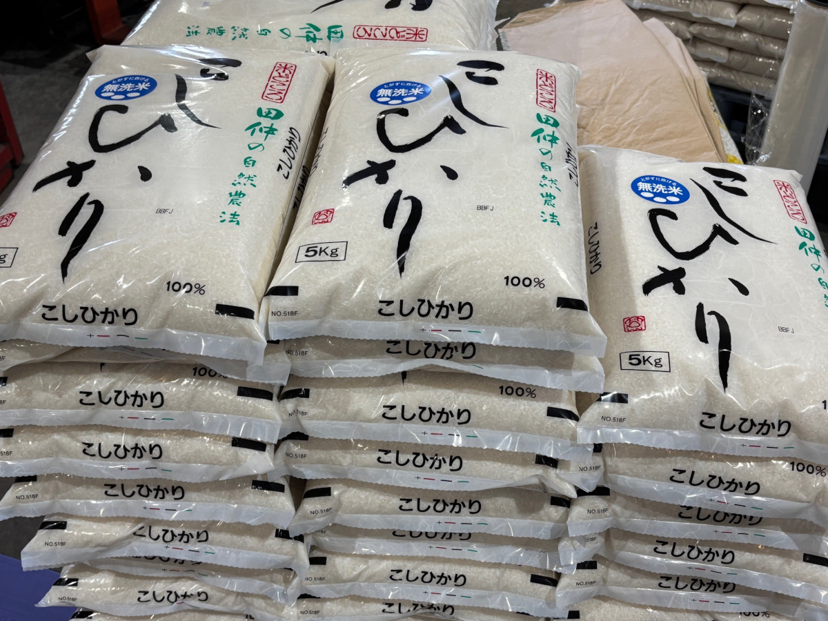 田仲農場のコシヒカリ