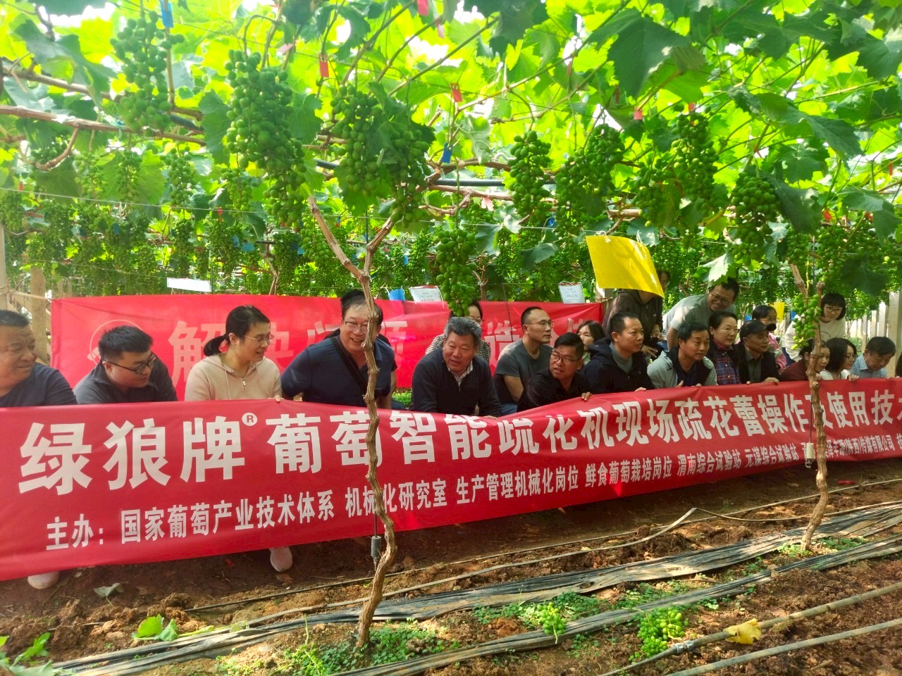 中国のブドウ研修に参加！　現地で見聞きしたブドウ栽培の“リアル”をレポート