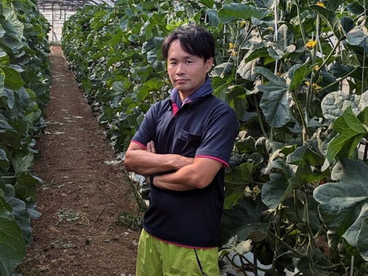 1玉6000円のメロンを育てるのは元スタントマン。純系固定種のメロン栽培に挑戦する原動力は