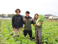 秋葉さんの実例から読み解く、ハクサイ「初美月（はつみづき）」の実力とは？