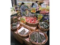 キュウリ、ピーマン３割高 気温不安定で夏野菜不足